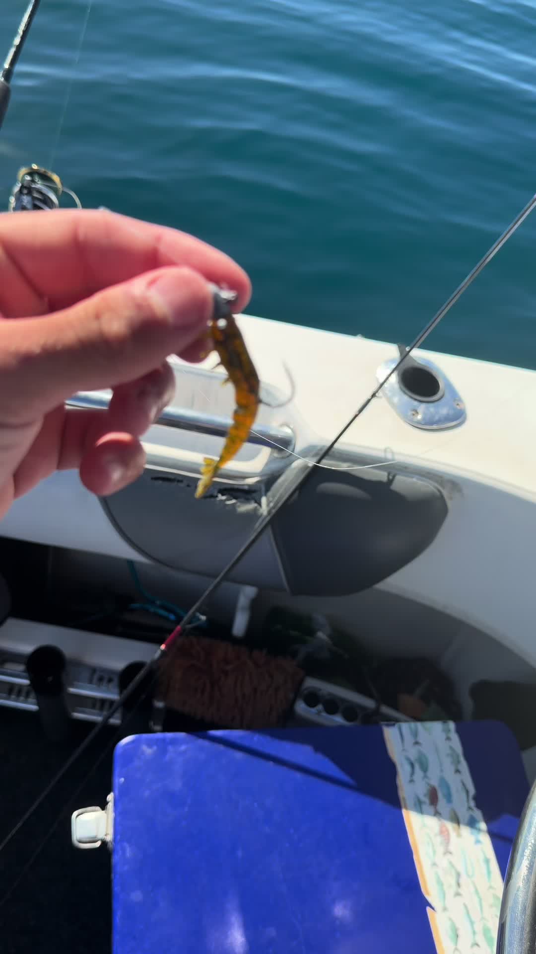 @CK’s Fishing