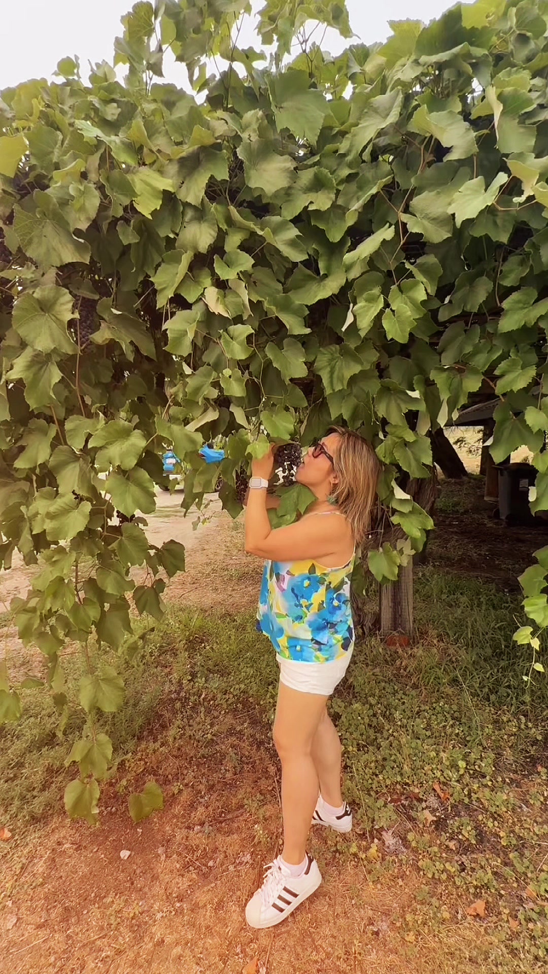 @🦋🌸BHABES🌸🦋