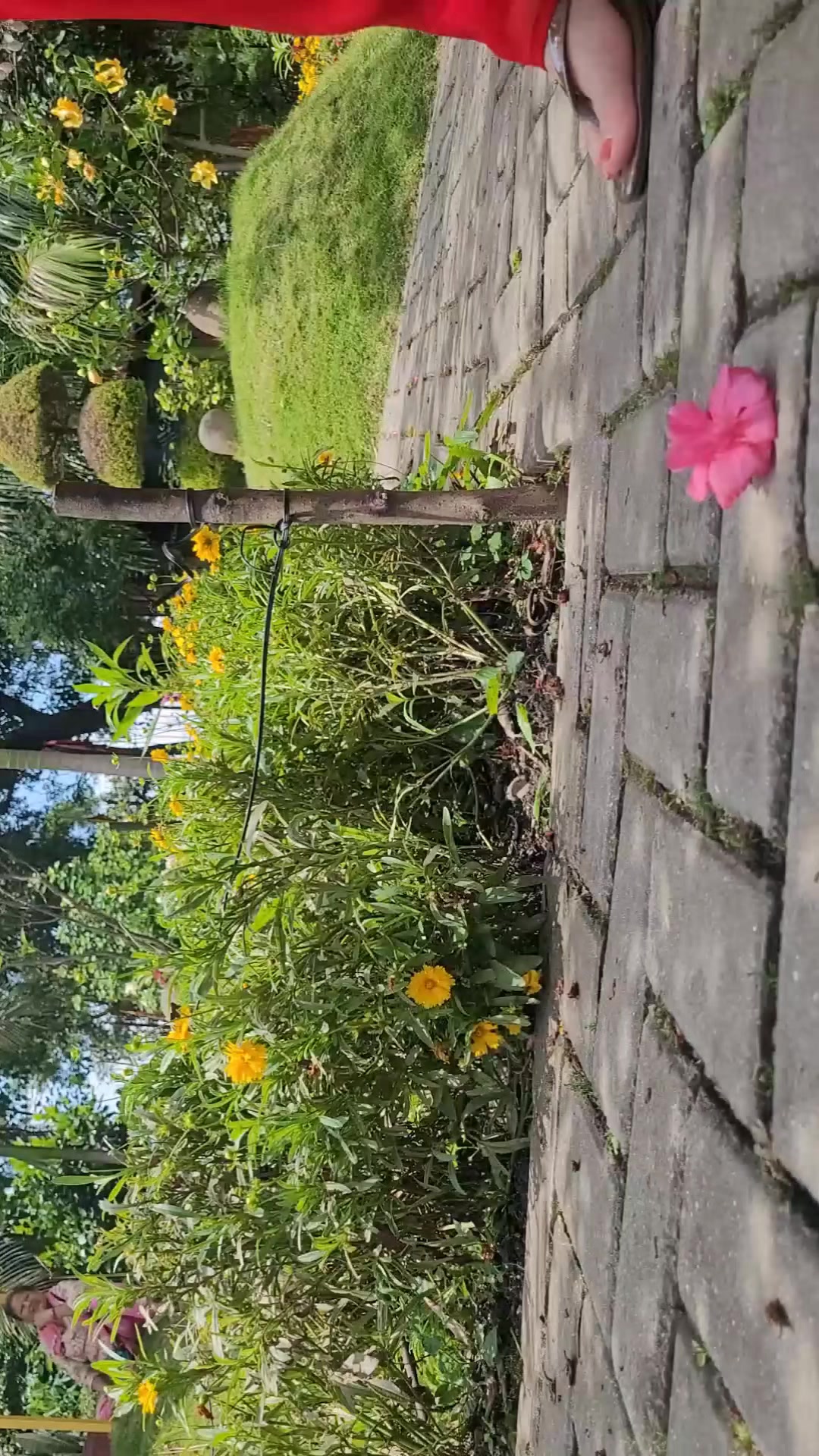 @💫💫