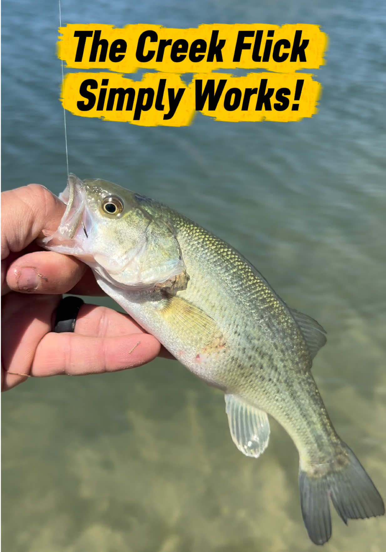 @Oilfield Angler Fishing
