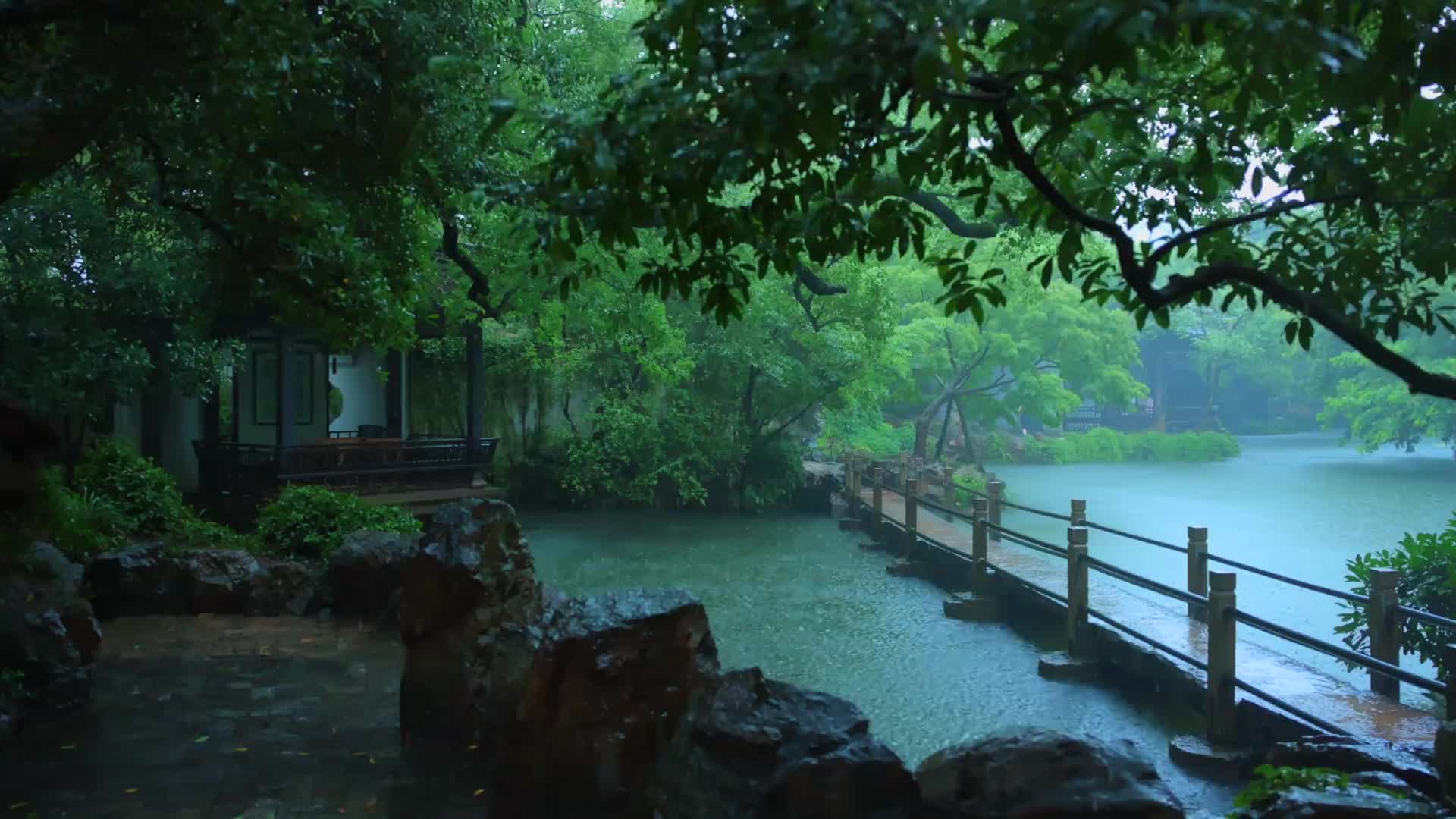 @竹丨《Trúc Ảnh》 🌿