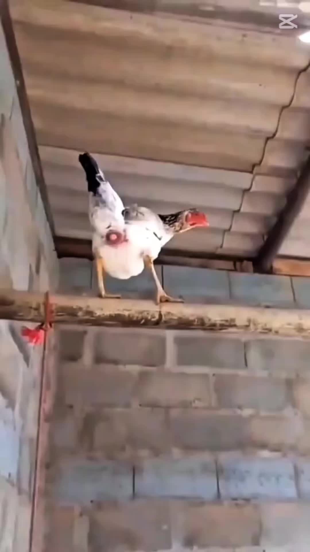 @اني بوتيتاه🥔