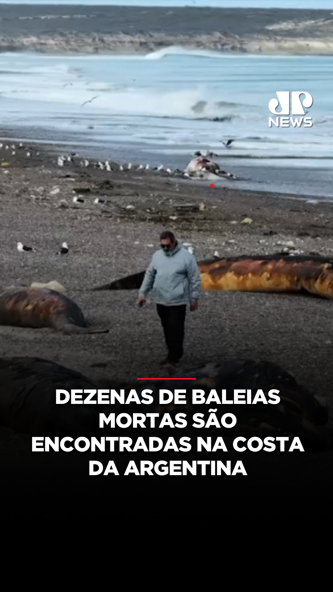 @Jovem Pan News