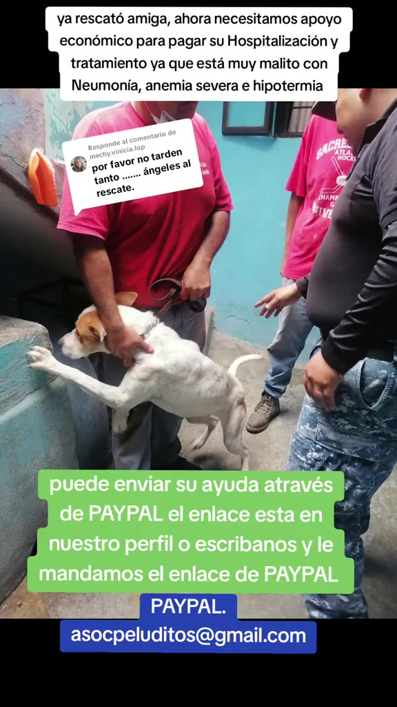 @Asoc. Peluditos