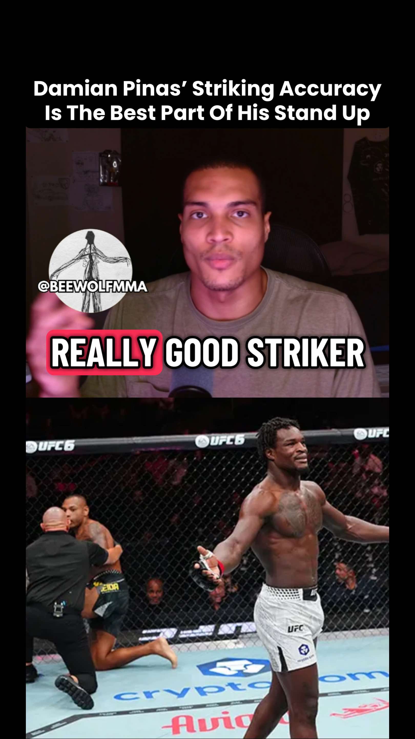 @BeewolfMMA