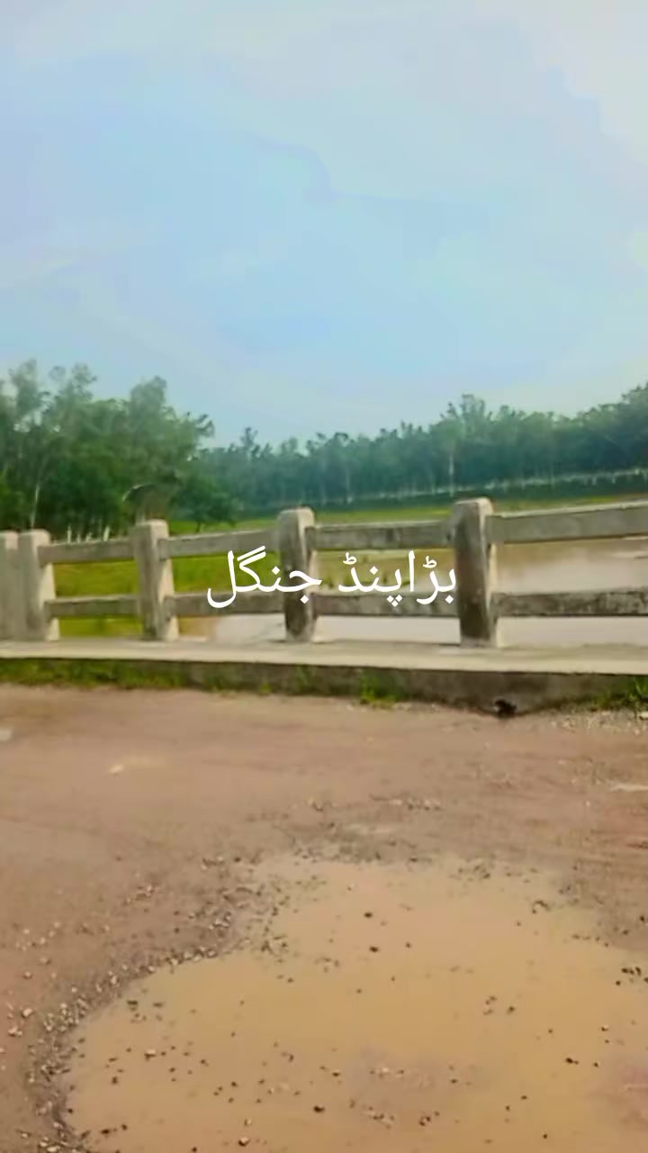 @lovely malik, 😍😍😍😍🥰🥰🥰