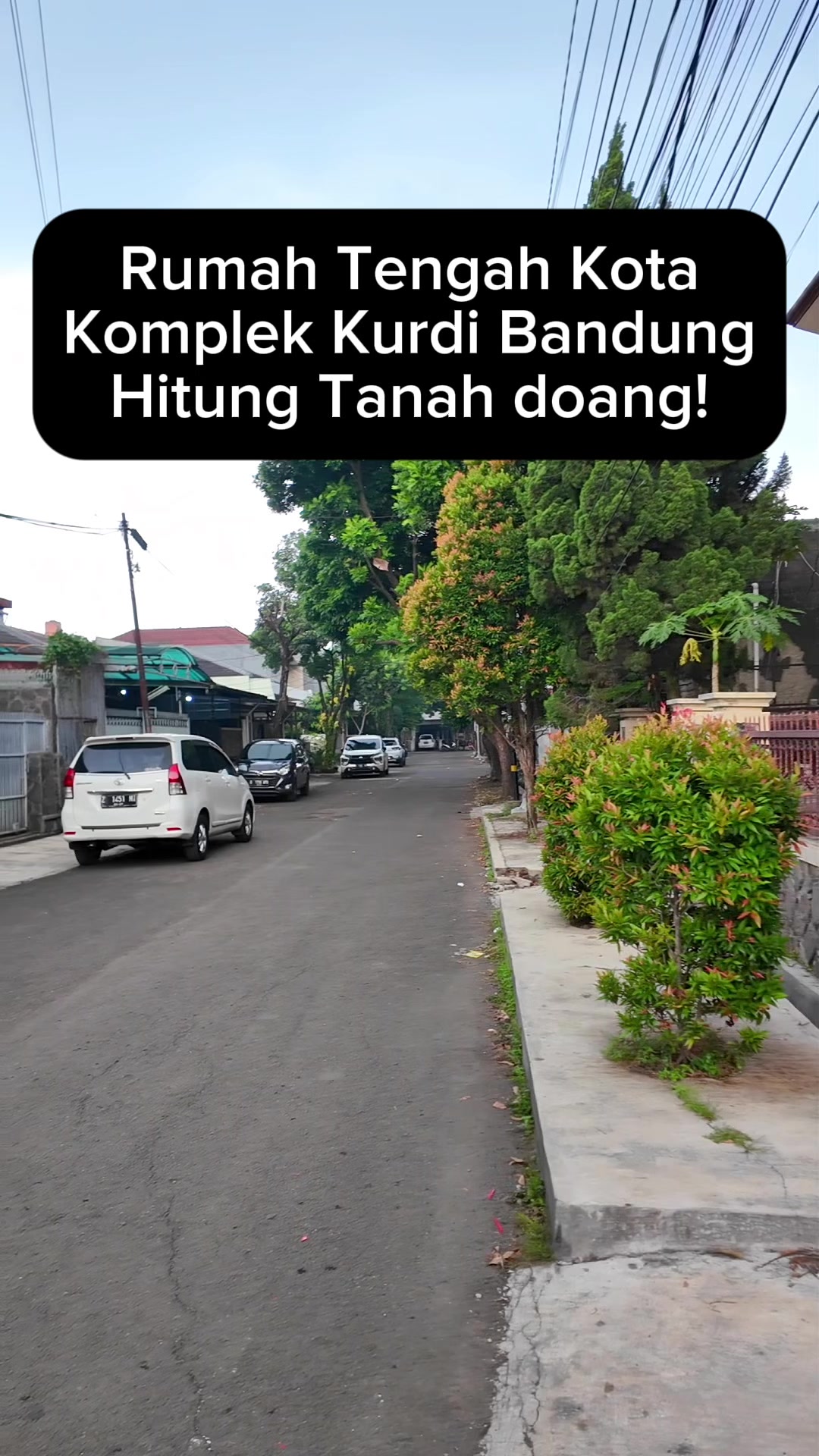 @Alung Putra