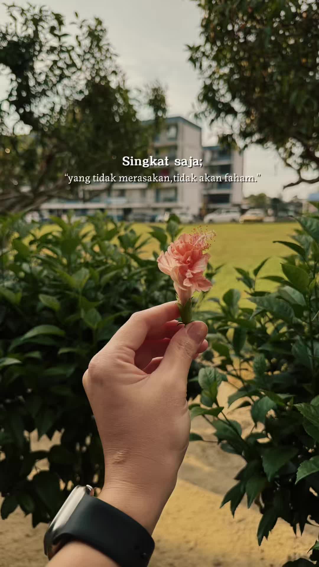 @Renie Lee🌼