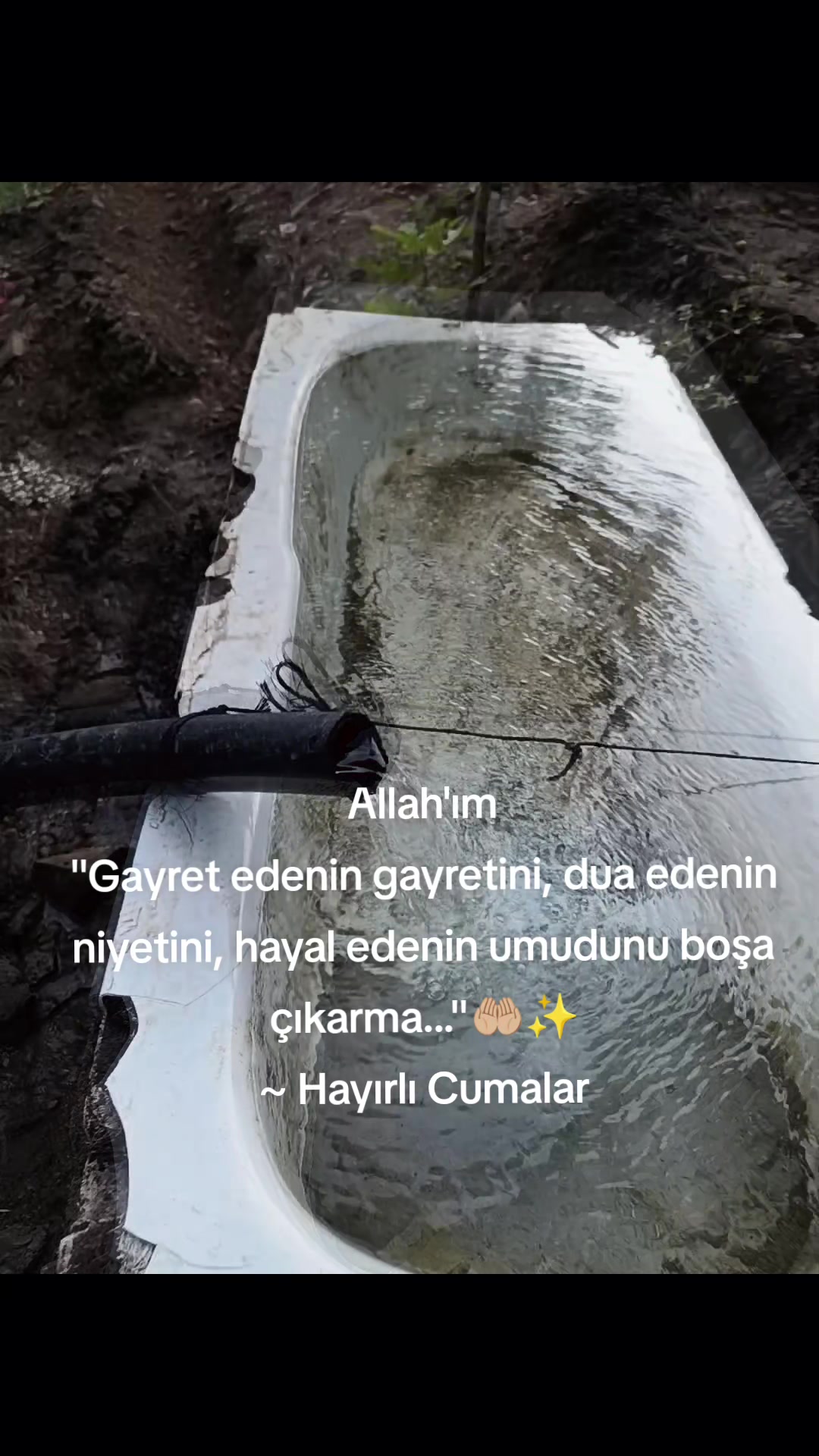 @köylü kizi🌹melosunelisleri
