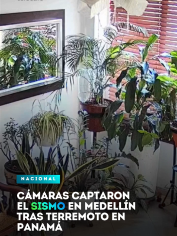 @Canal Telecafé