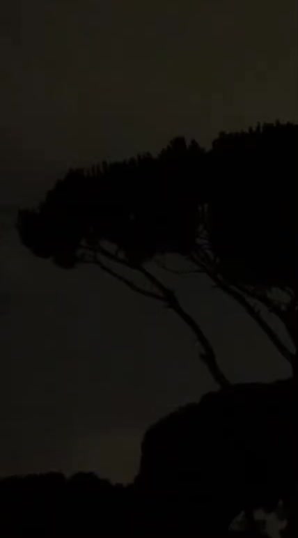 @الحوراء