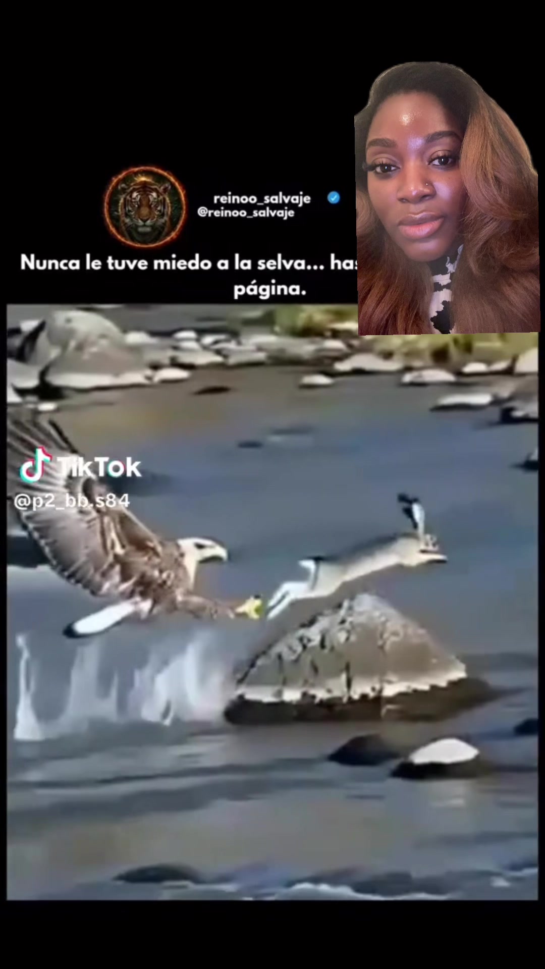 @D_talk33