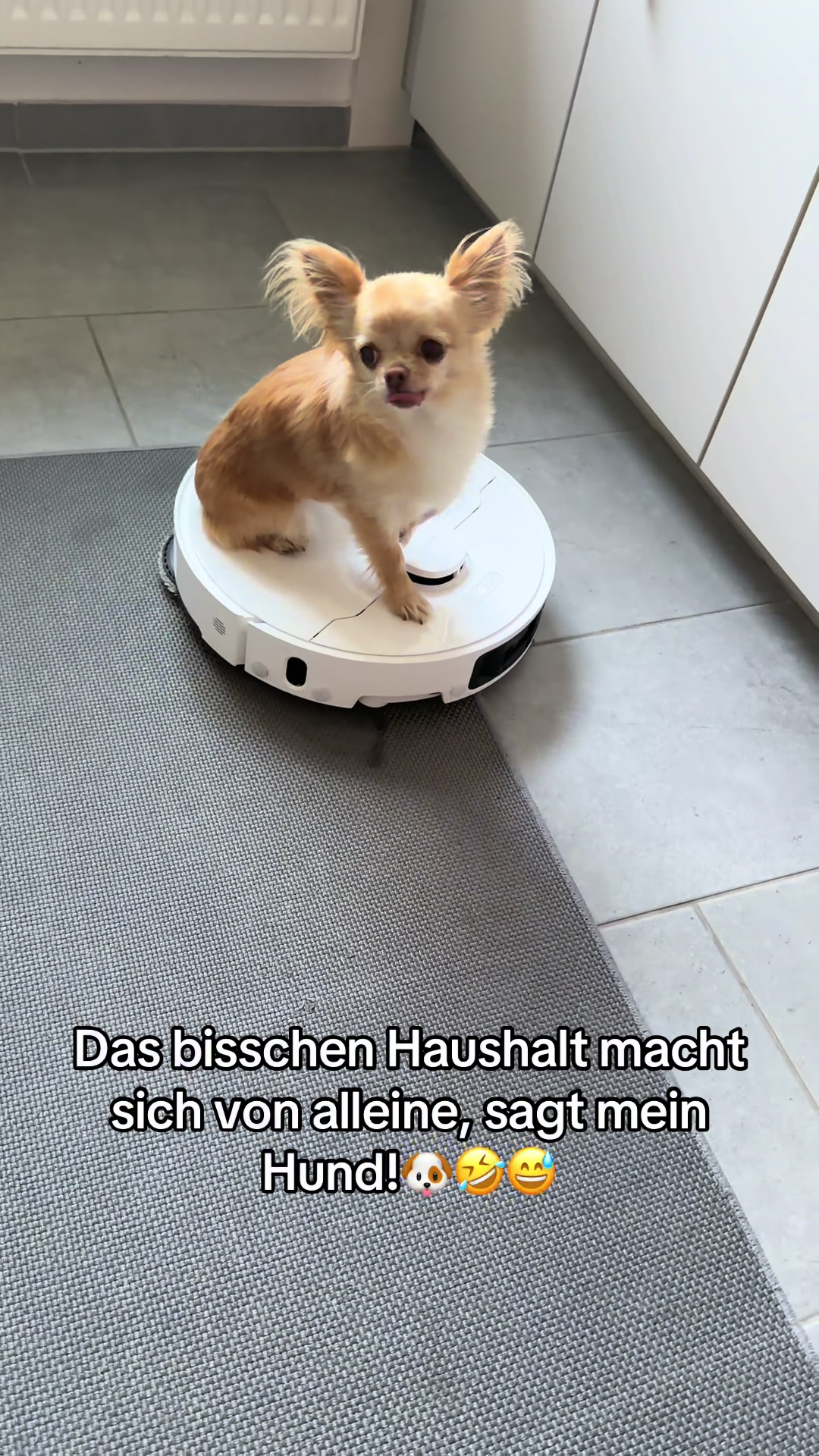 @Jezz Groß