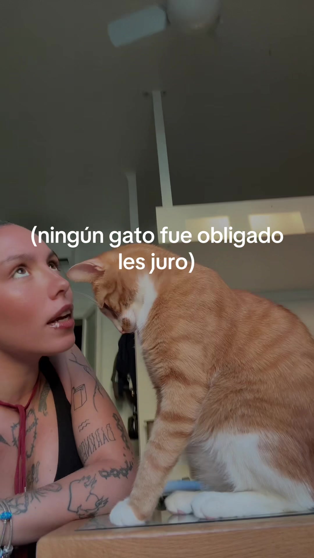 @cxnndelita