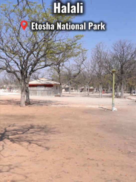 @Madbookings Travel Namibia
