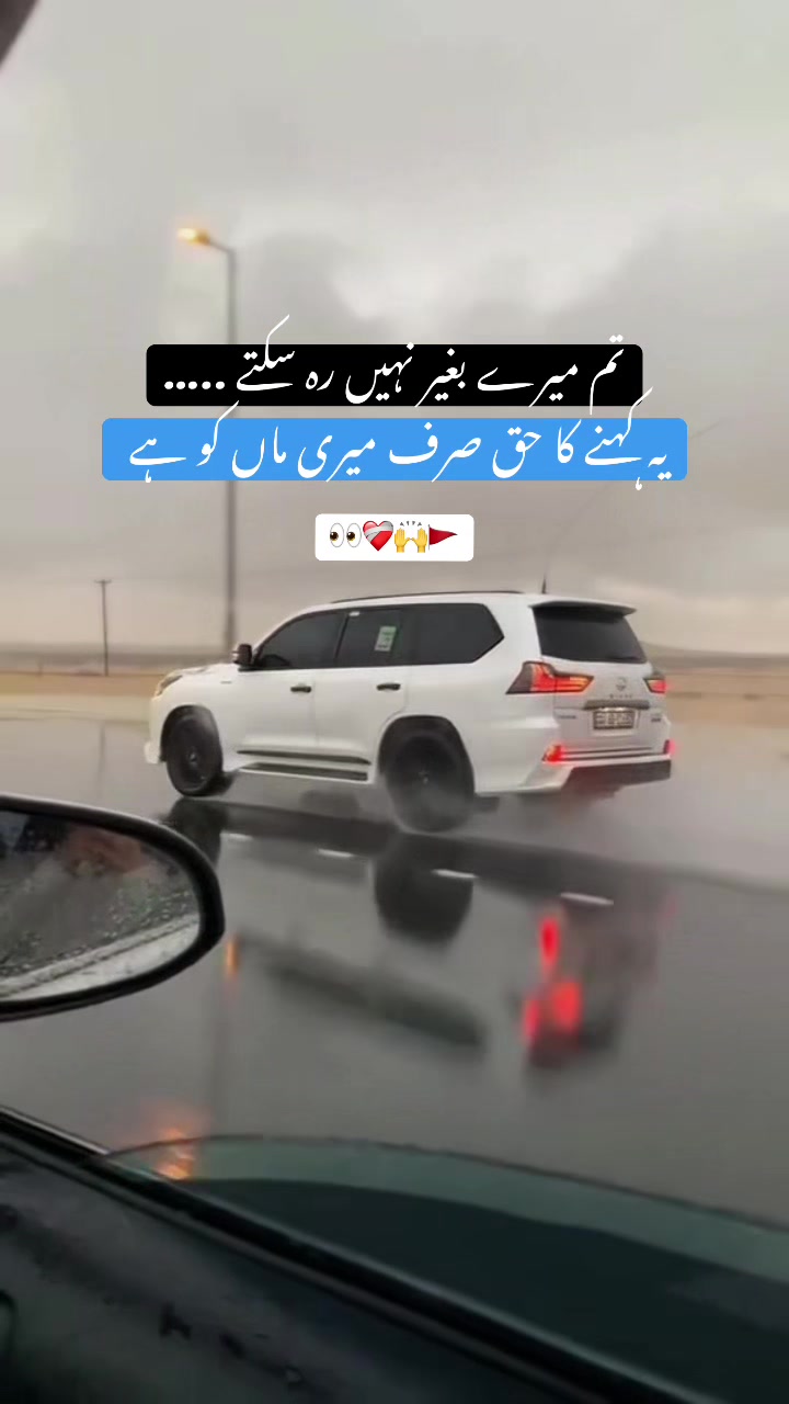 @❀࿐𝐏𝐮𝐫باش ♛