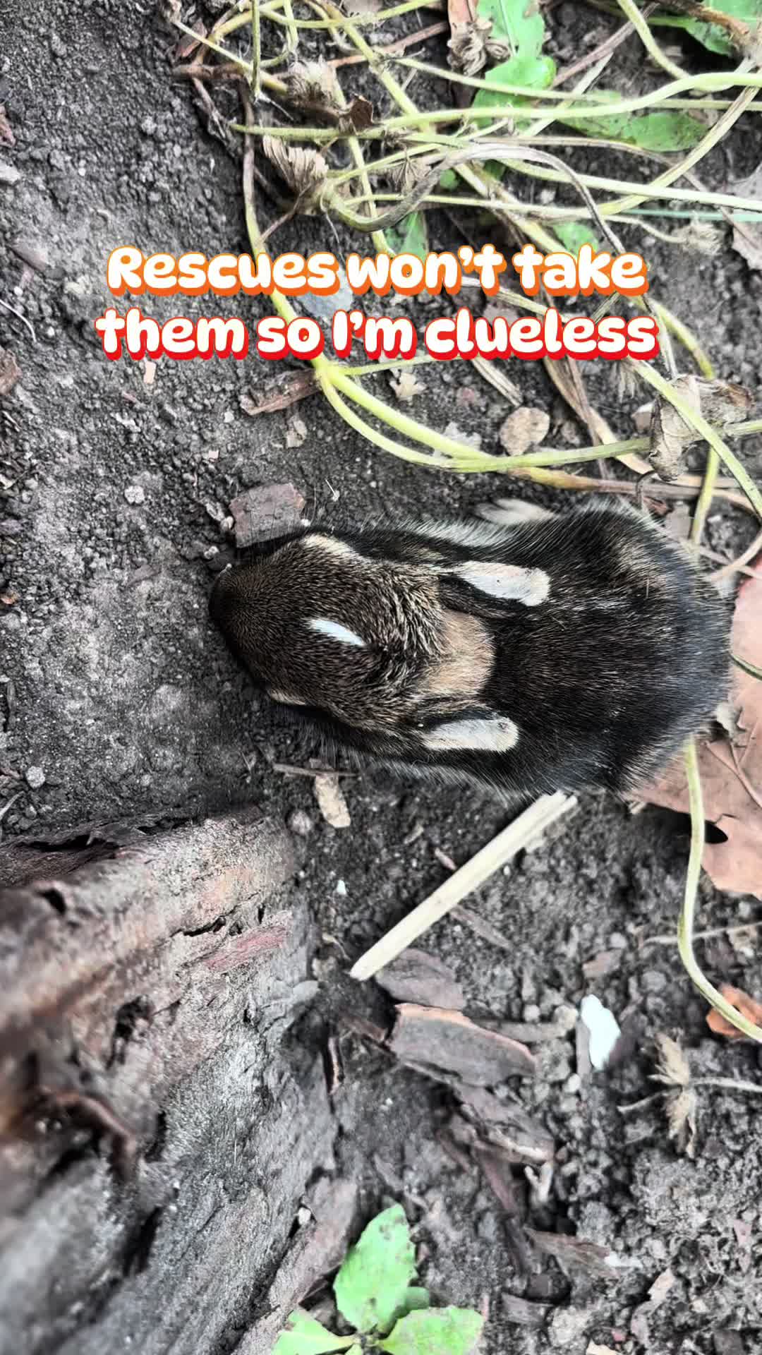 @T