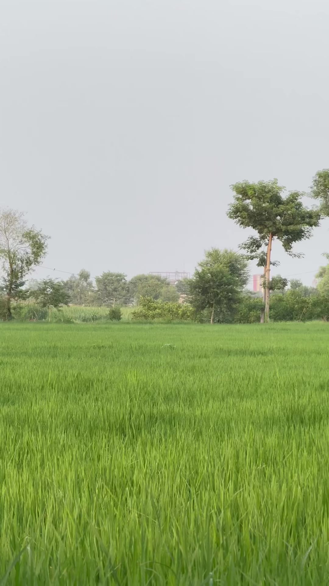 @M.HaSSaN 🇵🇰
