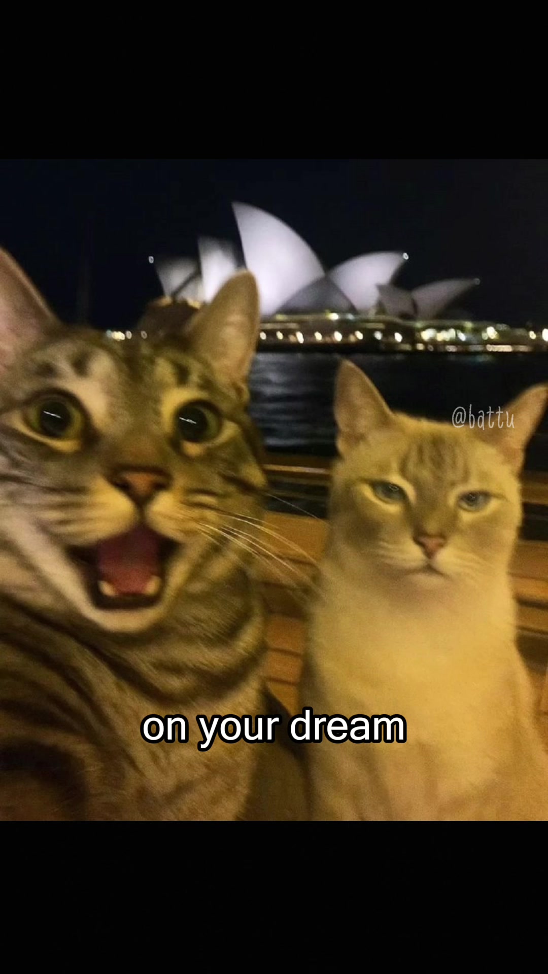 @Battu