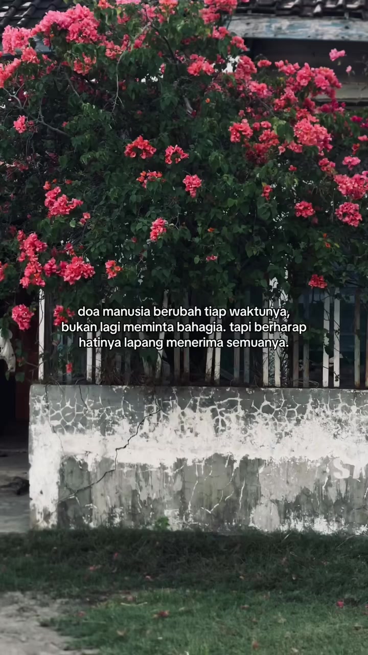 @takabarachannel