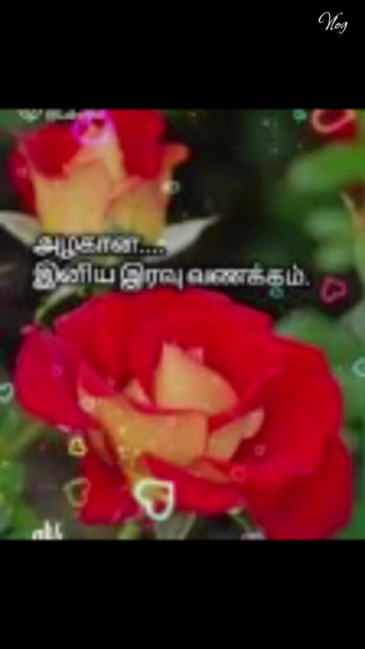 @Sai Meena