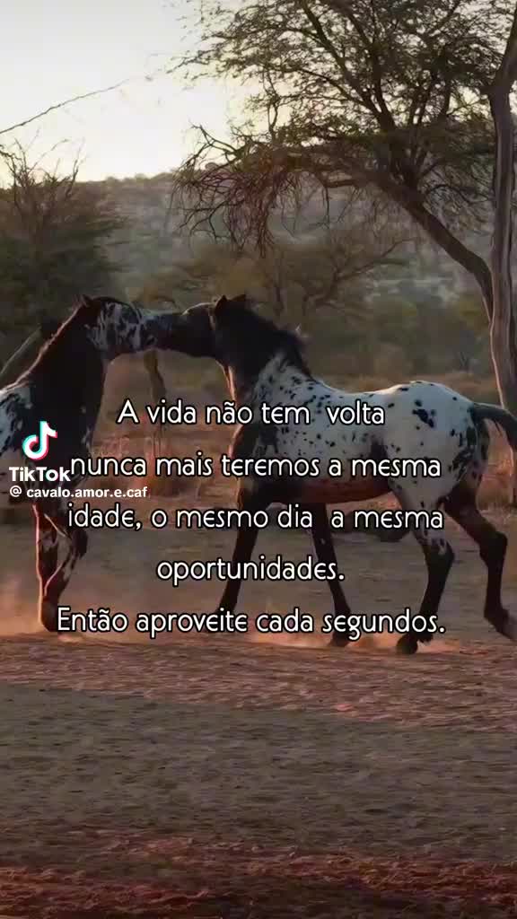 @S&oacute; Mod&atilde;o 🍻