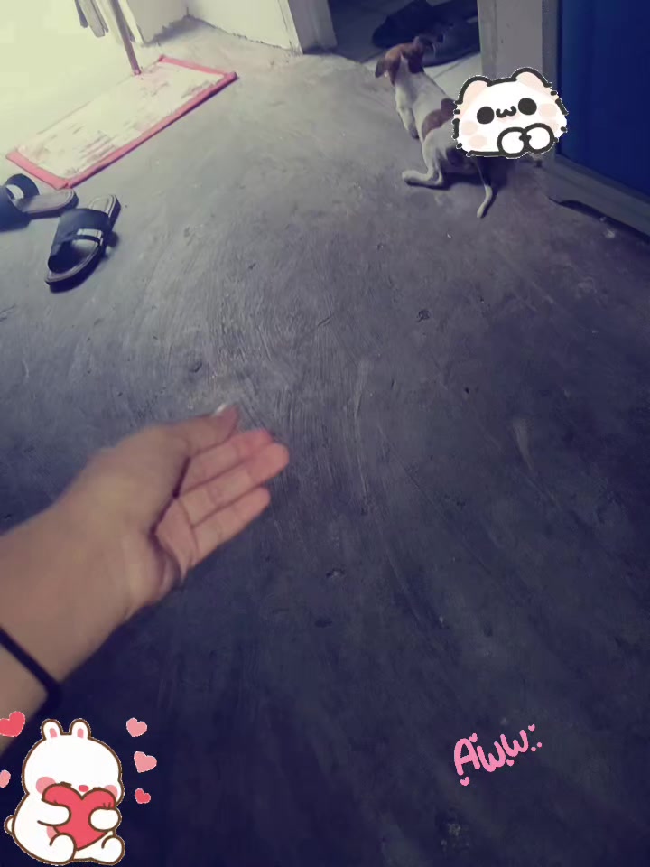 @꧁♡⃝ zeziel♎