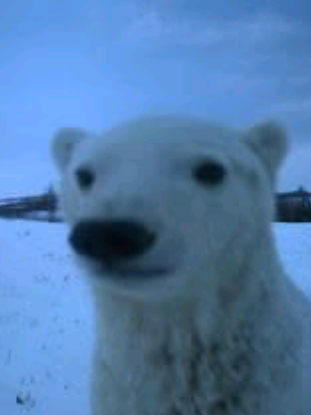 @🕶Очки домера🕶 @