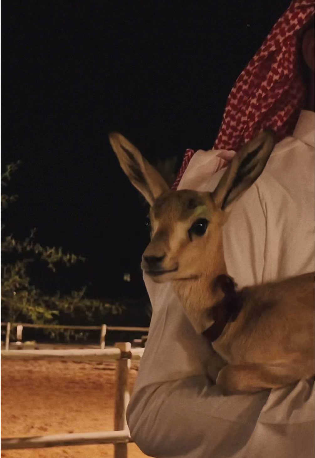 @شـذى