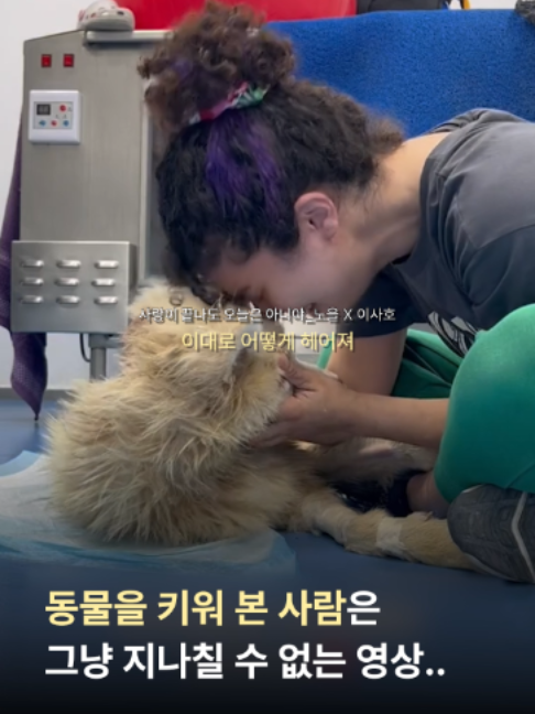 @띵곡 나옴