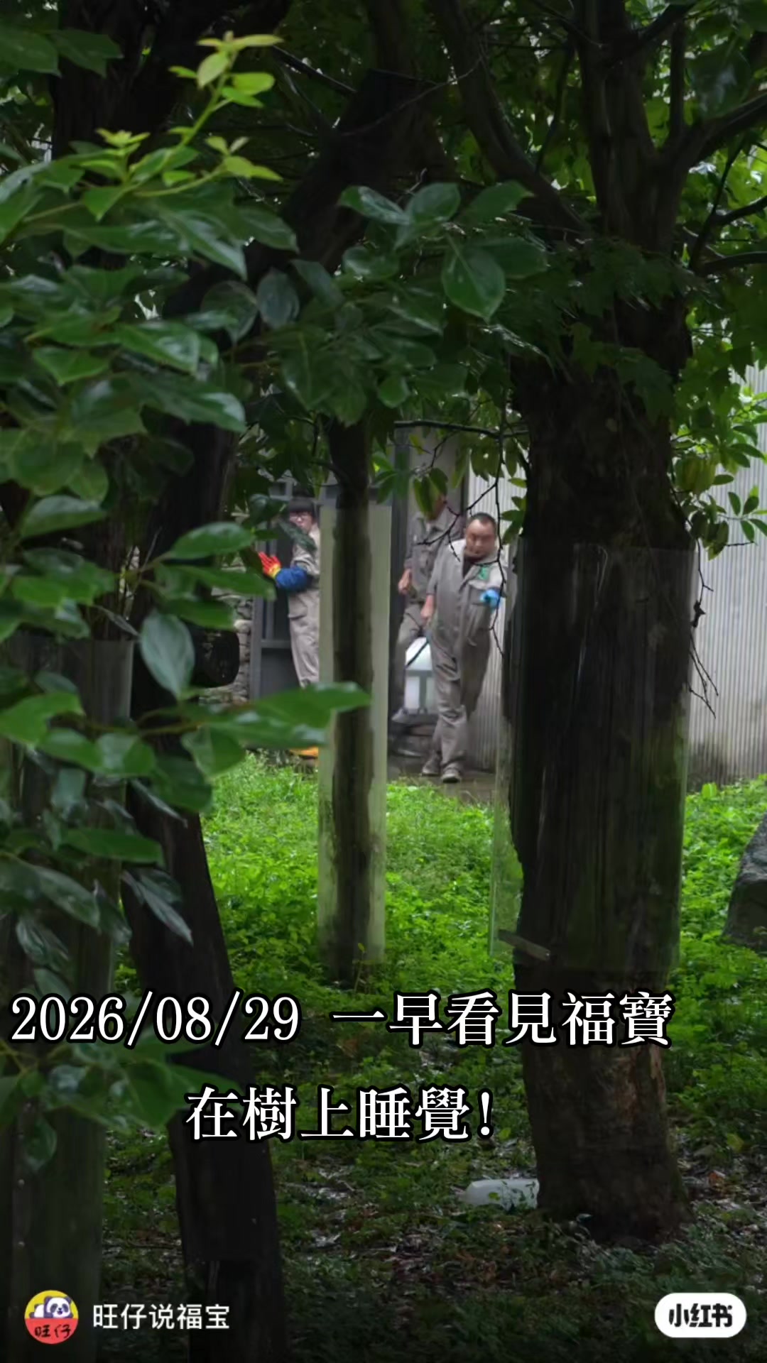 @福寶需要愛的抱抱
