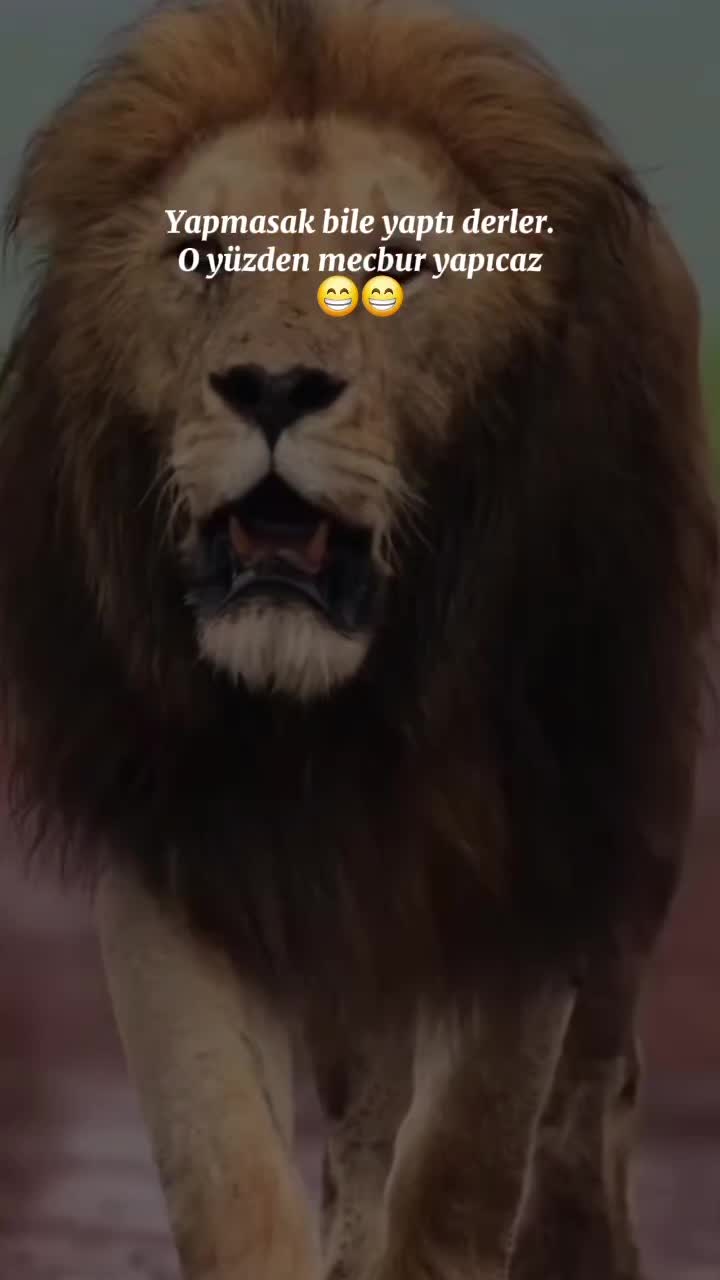 @๐๐๐๐๐ ๐๐๐๐ ๐๐๐๐น๐ท