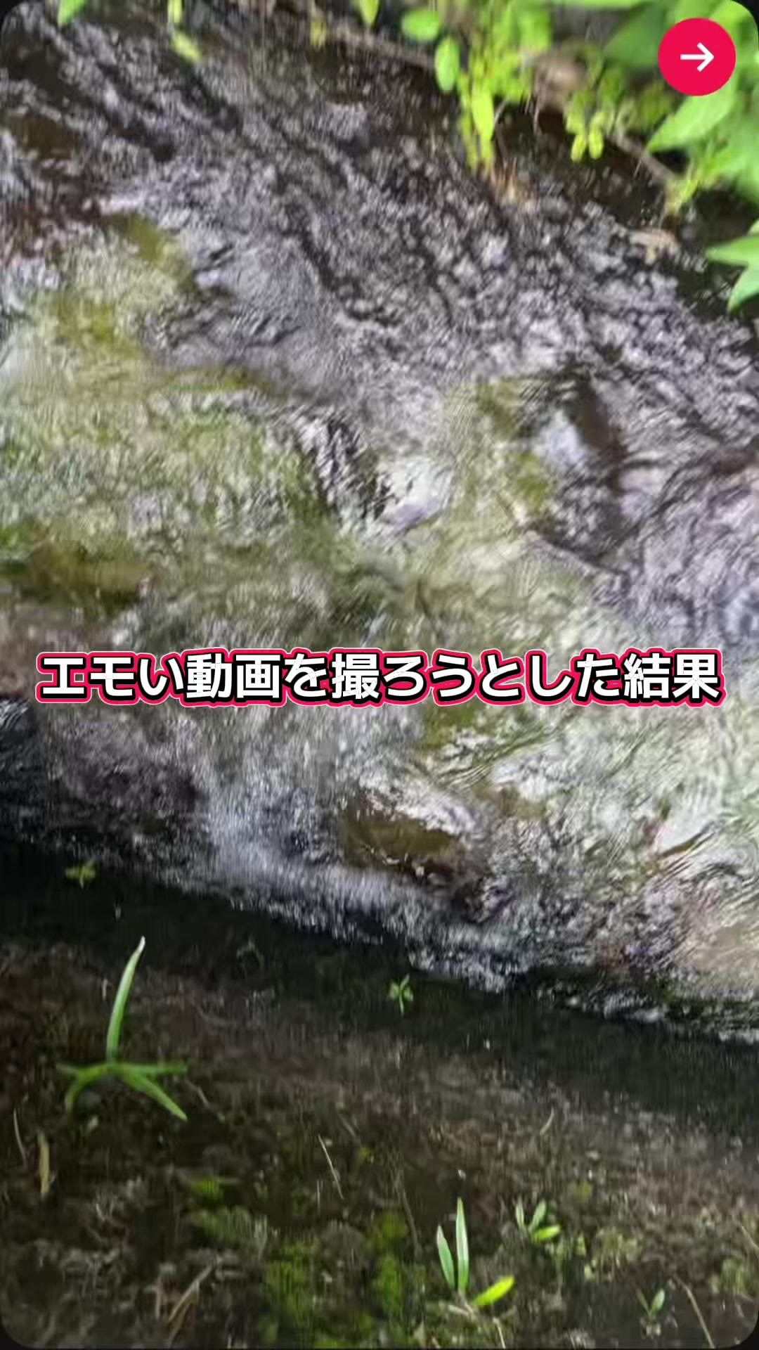 @✨牛タン娘🥩🥂✨