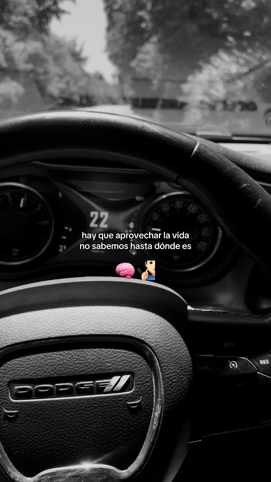 @William Nicolas 502
