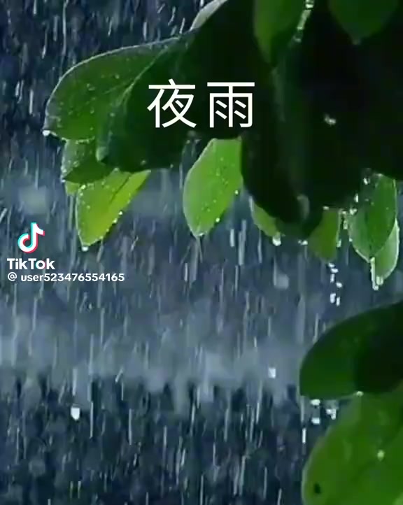 @黑鼠張
