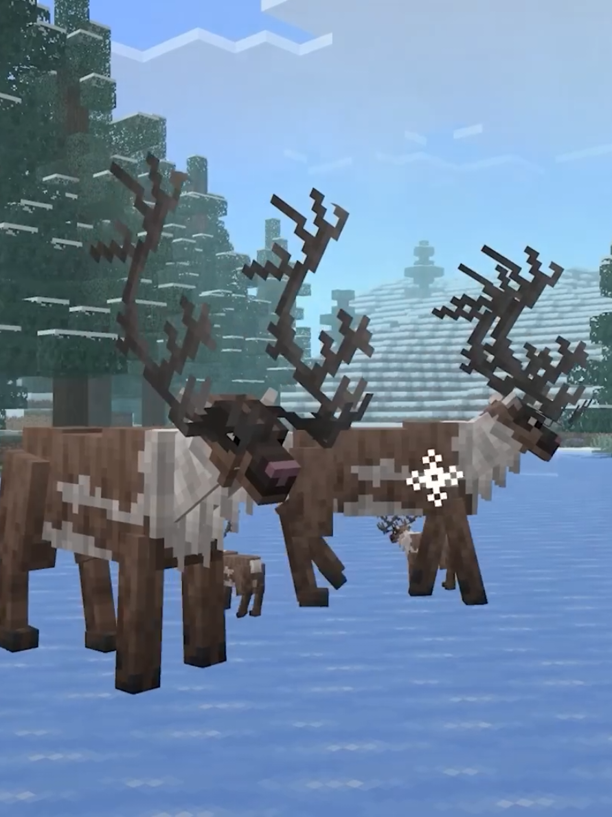 @CraftyDLC