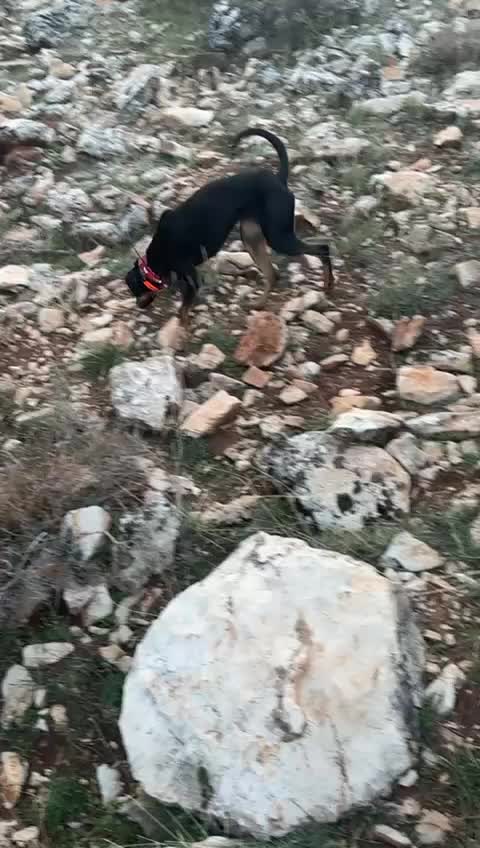 @Kemal Bakır
