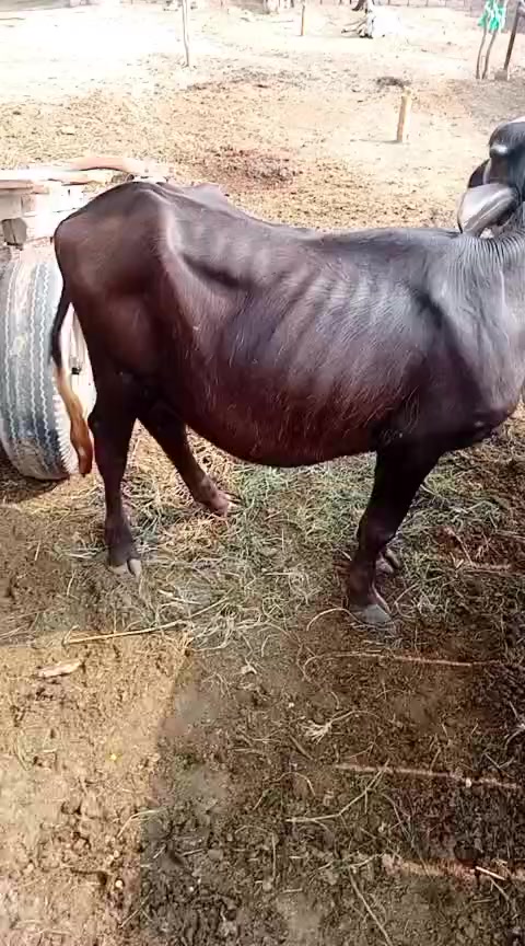 @❤❤💝