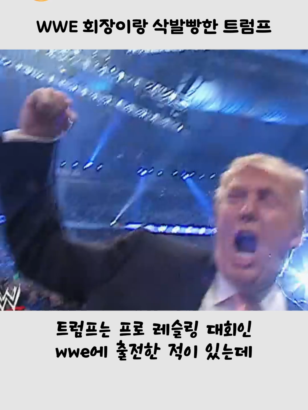 @호랑구팔