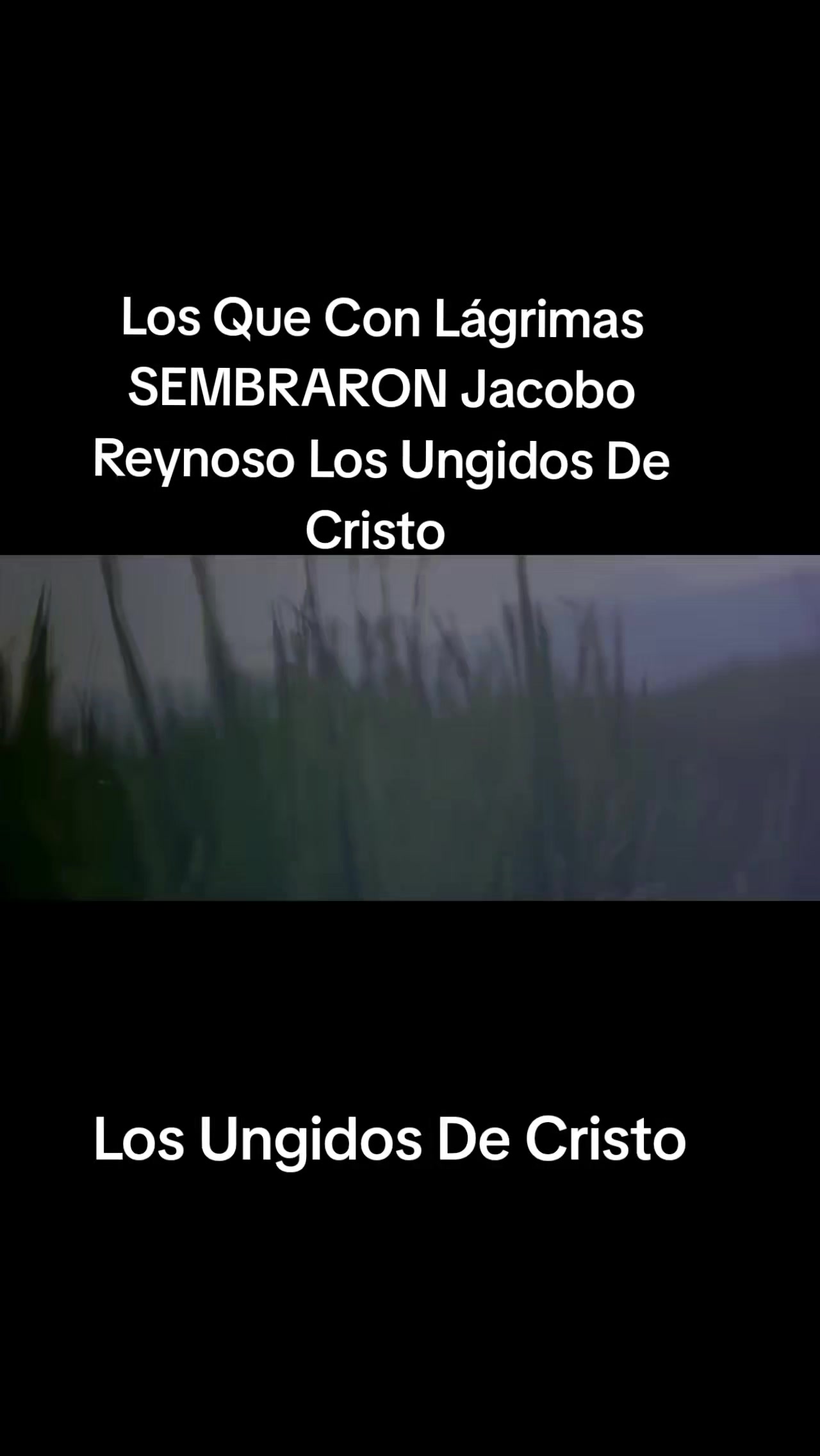 @Puac.gonzalez502🇬🇹