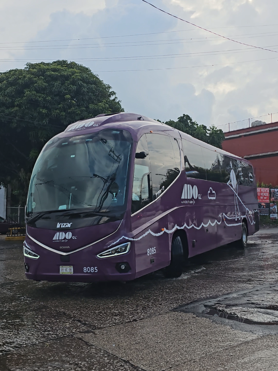 @cheit0:🚎🚎🇲🇽