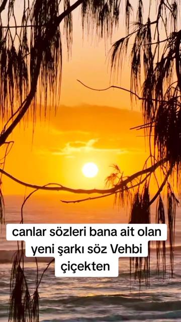 @Vehbi &ccedil;i&ccedil;ekten