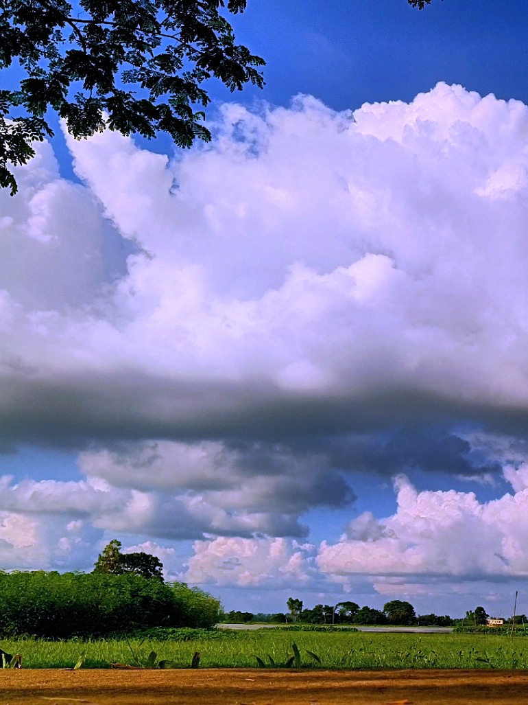 @🪺🦋বাংলার প্রকৃতি 🌾🌹