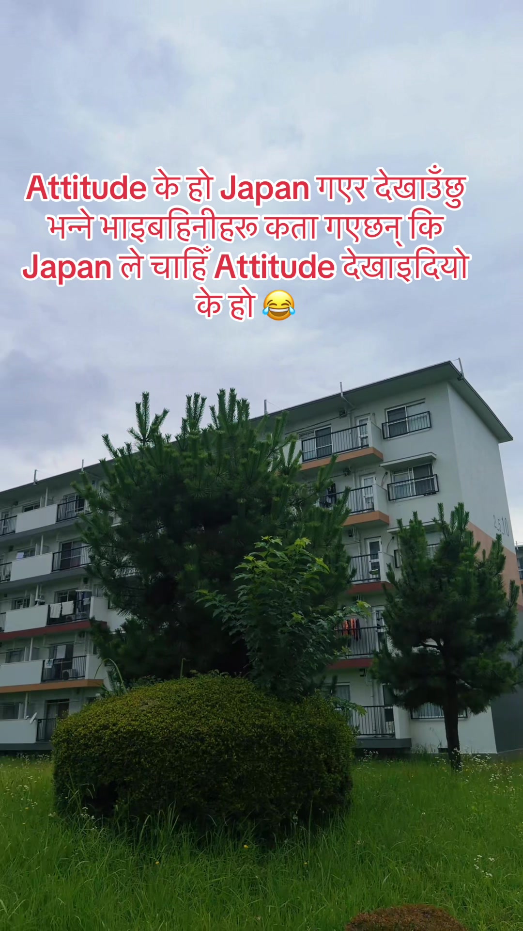 @🕊️