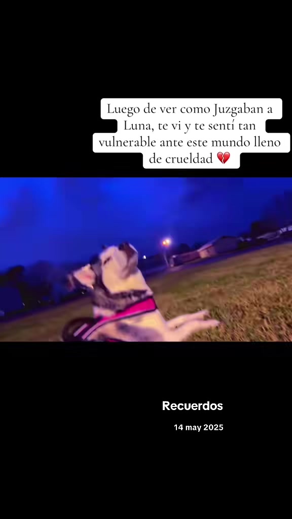 @Rubí__💎