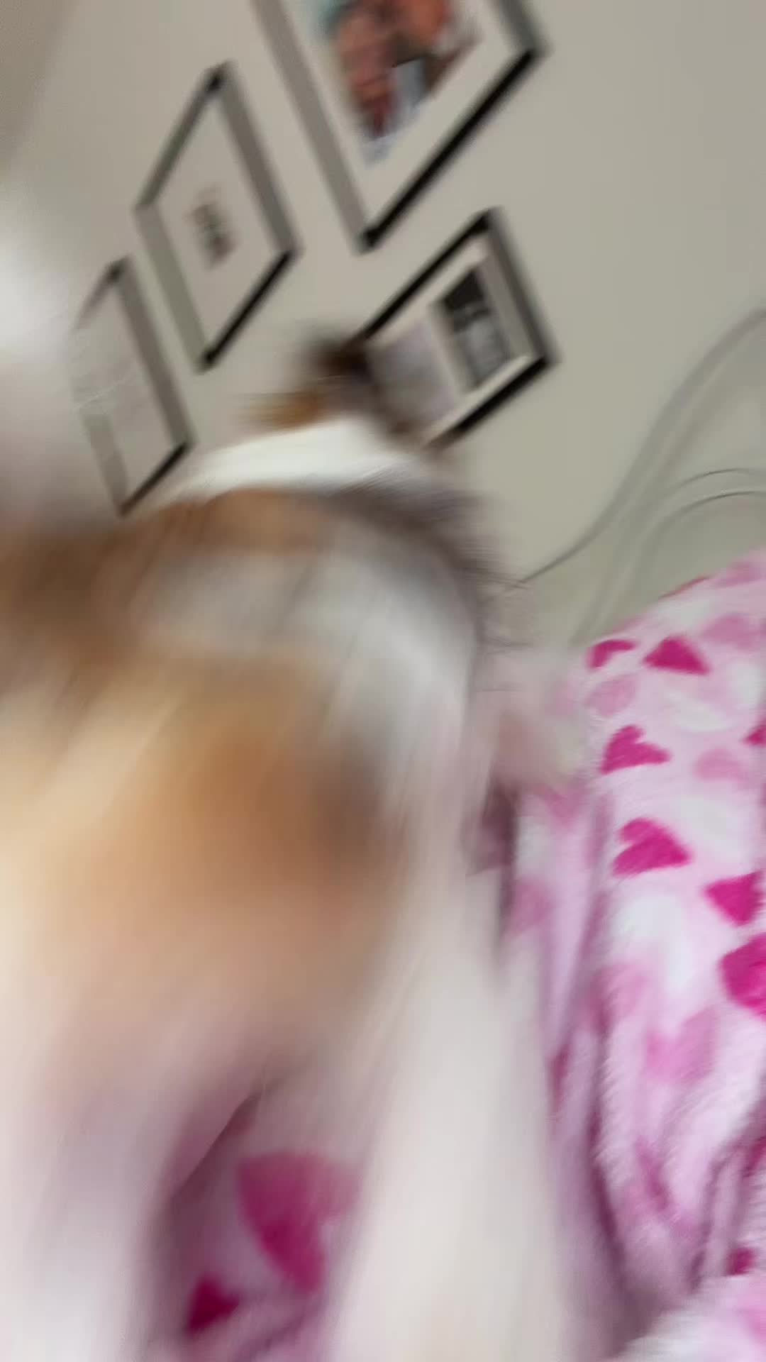@Annadele