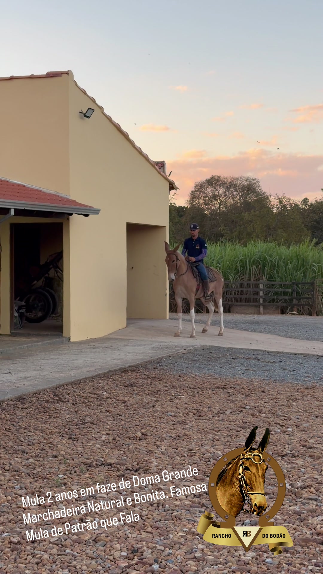 @Rancho do Bodão