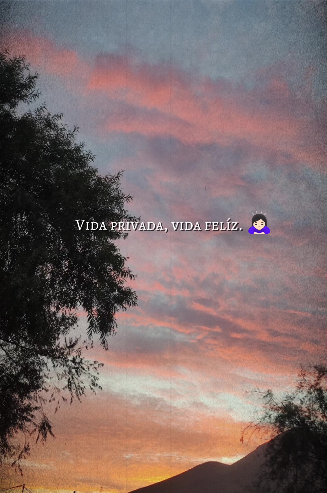 @🐍 Danyeiandam Moguel 🐍