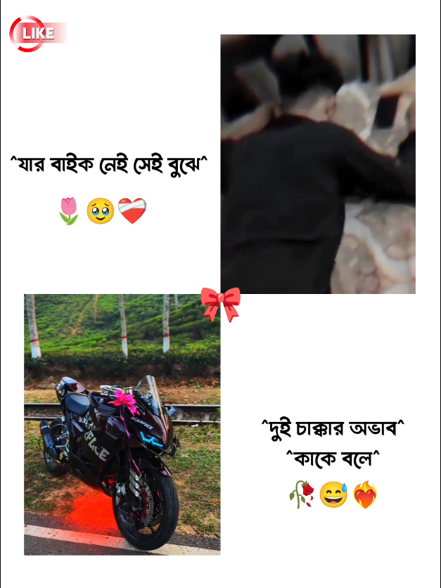 @✿BIKE LOVER✿