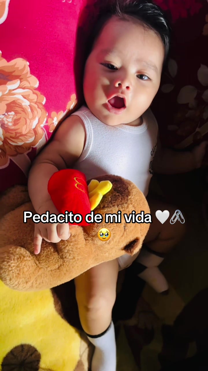 @Maria-José-Toledo🌸